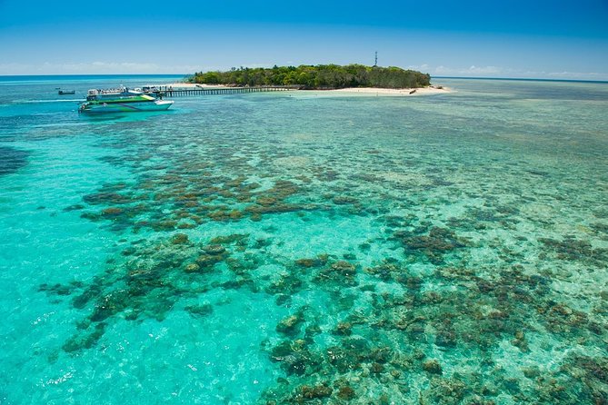 Green Island Half-Day Trip from Cairns - Price and Value: What You’re Paying For at $83.92