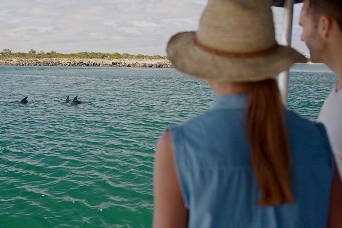 Guided Dolphin Eco-Cruise in Koombana Bay - Quick Highlights at a Glance