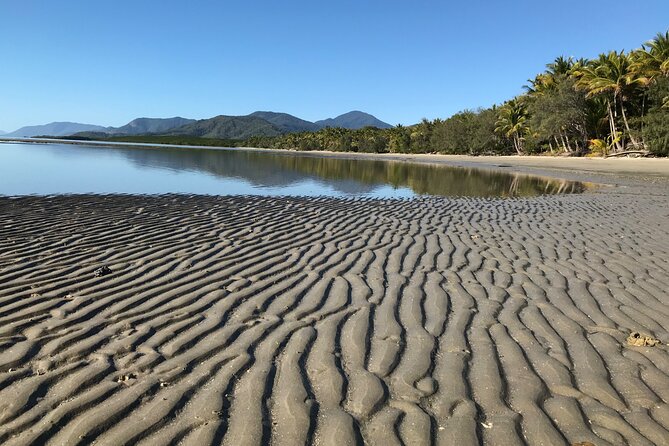 Guided Eco Segway Tours Four Mile Beach Port Douglas - Stories While You Ride: Wildlife and Aboriginal Traditions on the Route