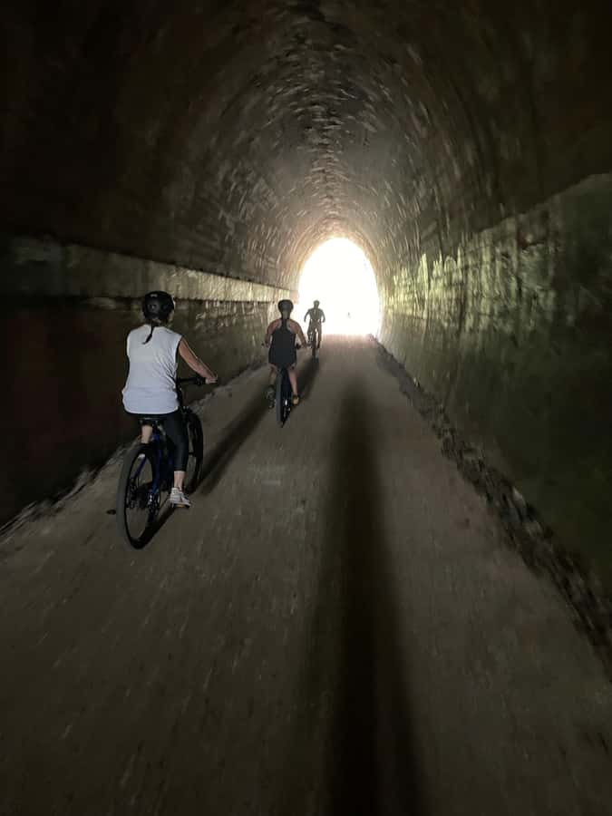 Guided Evening Glow Worm Experience - Byron Bay - Pickup and the shuttle van ride from Byron Bay: smooth start, limited fuss