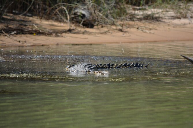Guided Kakadu Day Tour - Meals and the All-In Feel: Why This Tour Is Easier Than DIY