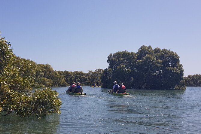 Guided Kayak Adventure Tour - Key things to know before you paddle