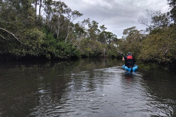 Guided Kayak Adventure Tour - Moreton Bay Marine Park, right by Brisbane