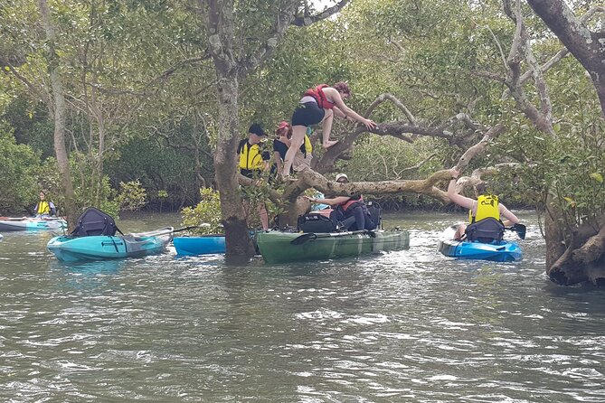 Guided Kayak Adventure Tour - The paddling pace: what “6 km round trip” means