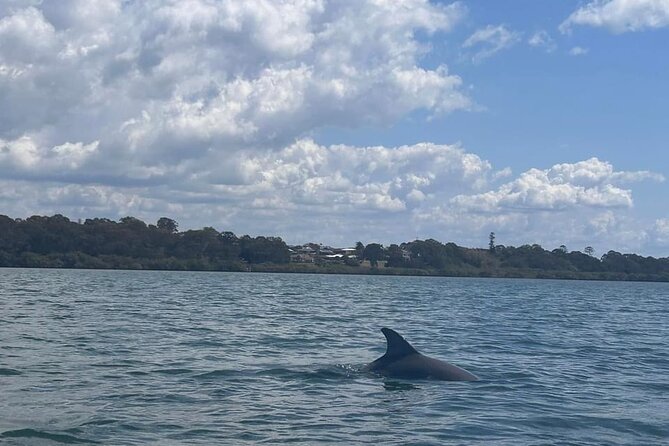 Guided Kayak Adventure Tour - The mid-tour break and included refreshments