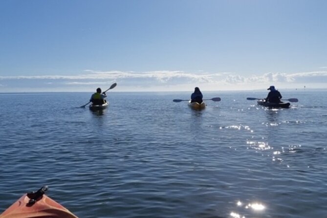 Guided Kayak Adventure Tour - How the tour chooses your route: tides and launch spots