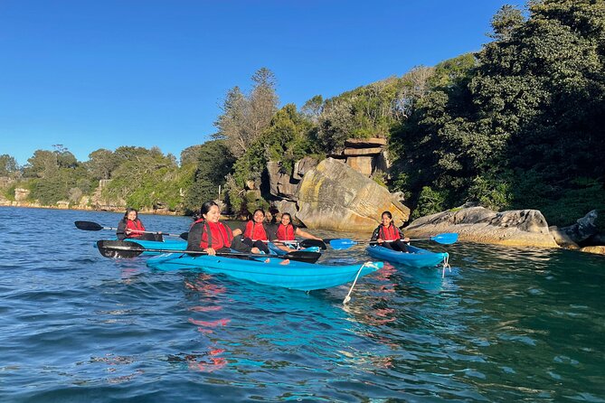 Guided Kayak Tour of Manly Cove Beaches - Key Points I’d Highlight Before You Go