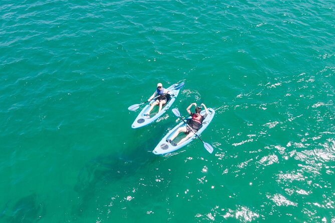 Guided Kayak Tour of Manly Cove Beaches - Quarantine Beach: A secluded break for strolling and a swim