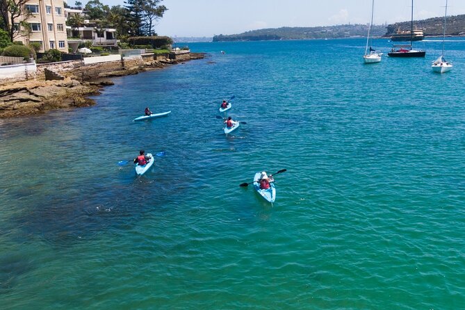Guided Kayak Tour of Manly Cove Beaches - Gear, comfort, and what to wear (so you don’t regret it later)
