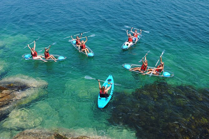 Guided Kayak Tour of Manly Cove Beaches - What You’re Really Doing on the Water (hint: it’s not a race)
