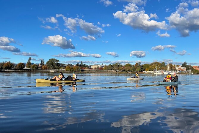 Guided Kayak Tour on Launceston's scenic waterfront on foot powered Hobie kayaks - Down the Tamar: Old Docks, a River Feel, and Easy Wildlife Watching
