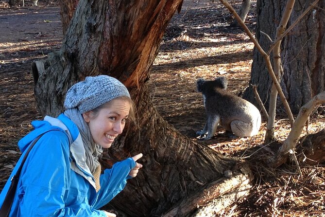 Guided Koala Walk and Bushfire ecology tour - Key Highlights Worth Planning For