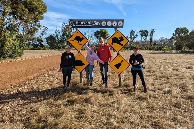 Guided Koala Walk and Bushfire ecology tour - Meeting at Karatta: timing and getting there smoothly