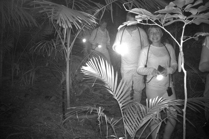 Guided Night Walk in Cape Tribulation - Small group (eight max) and the quiet factor that matters