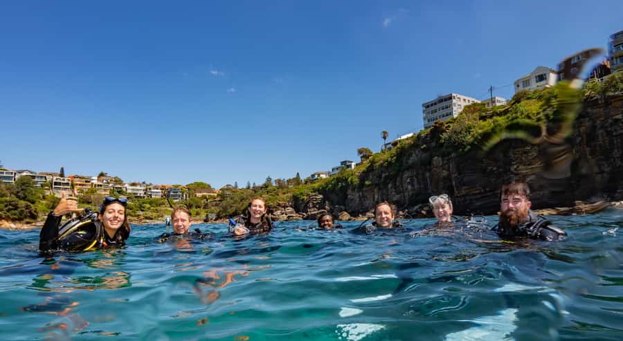 Guided Snorkel Tour at Australias most iconic beach - Where Bondi fits in: Dive Centre Bondi to Clovelly’s pool snorkel