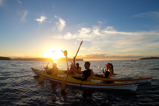 Guided Snorkeling Experience in Bondi - Beginner-friendly support (including life rings)