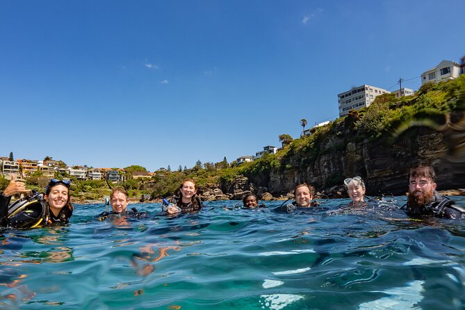 Guided Snorkeling Experience in Bondi - Getting to your snorkeling spot: vehicle comfort and local choices