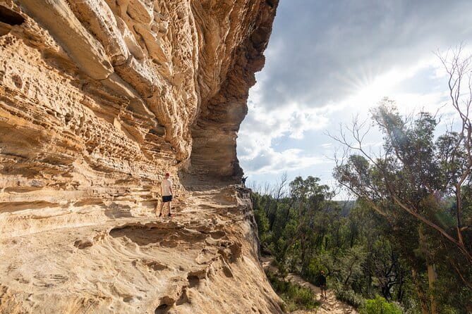 Guided Walking Tour in the Blue Mountains - Hidden Treasures - Price and logistics for a full 10.5-hour day