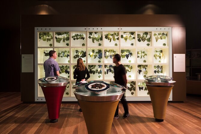 Guided Wine Journey and Discovery Tasting Tour in Adelaide - Key things to know before you go