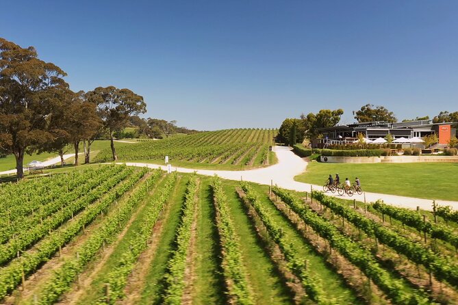 Hahndorf food and wine E-Bike Tour - Udder Delights: cheeses, fresh breads, and quince paste
