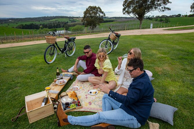 Hahndorf food and wine E-Bike Tour - Shaw and Smith: a proper wine flight with a view