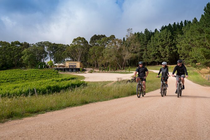 Hahndorf food and wine E-Bike Tour - The Lane Vineyard again: Taste the Lane to wrap it up