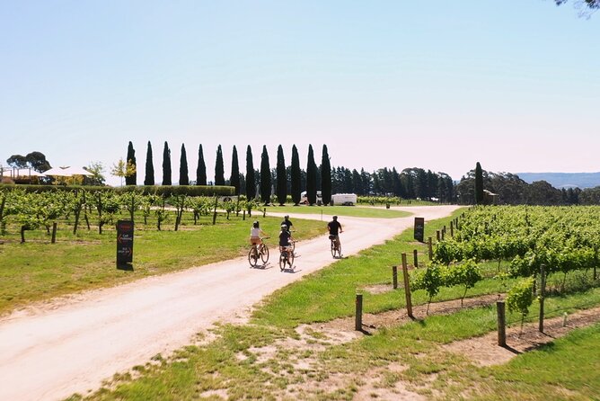Hahndorf food and wine E-Bike Tour - Pace, group size, and how the day really feels