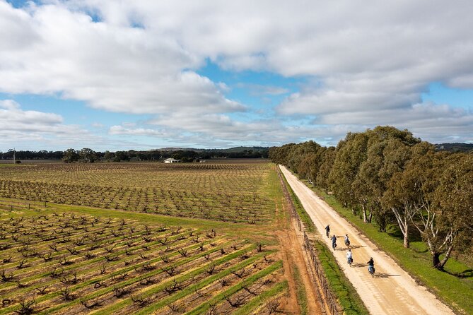 Hahndorf food and wine E-Bike Tour - Beerenberg strawberry picking: seasonal, hands-on, and fun