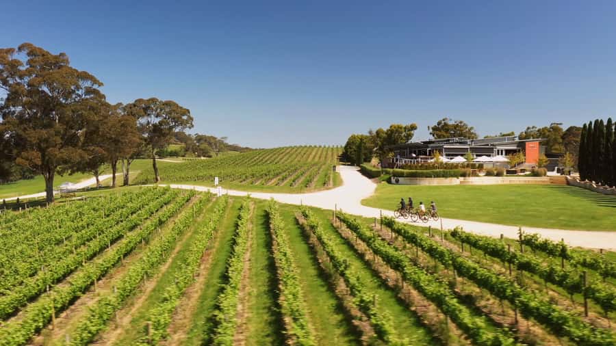 Hahndorf: Gourmet Food & Wine E-Bike Tour - Key highlights worth marking on your map