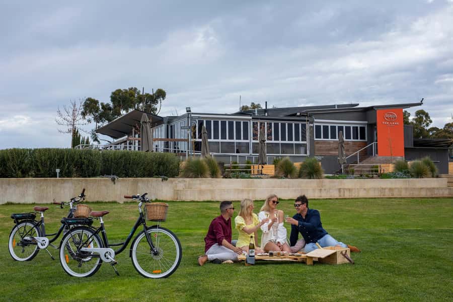 Hahndorf: Gourmet Food & Wine E-Bike Tour - Beerenberg strawberry picking: seasonal, hands-on, and worth the mess