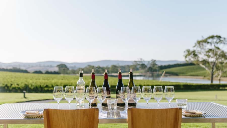 Hahndorf: Gourmet Food & Wine E-Bike Tour - Nepenthe under the old gum tree: tasting with atmosphere