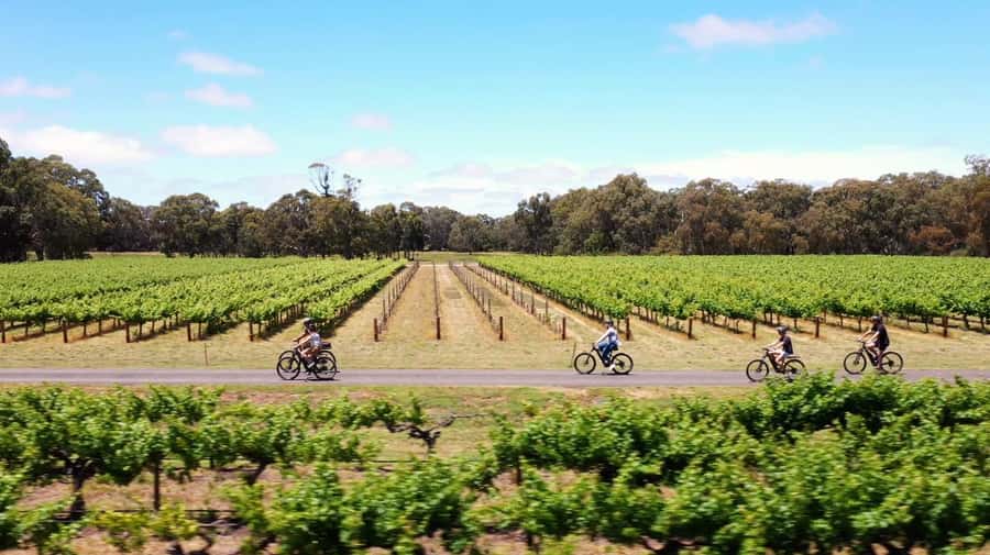 Hahndorf: Gourmet Food & Wine E-Bike Tour - Price and value: is $180 fair for a food-and-wine e-bike day?