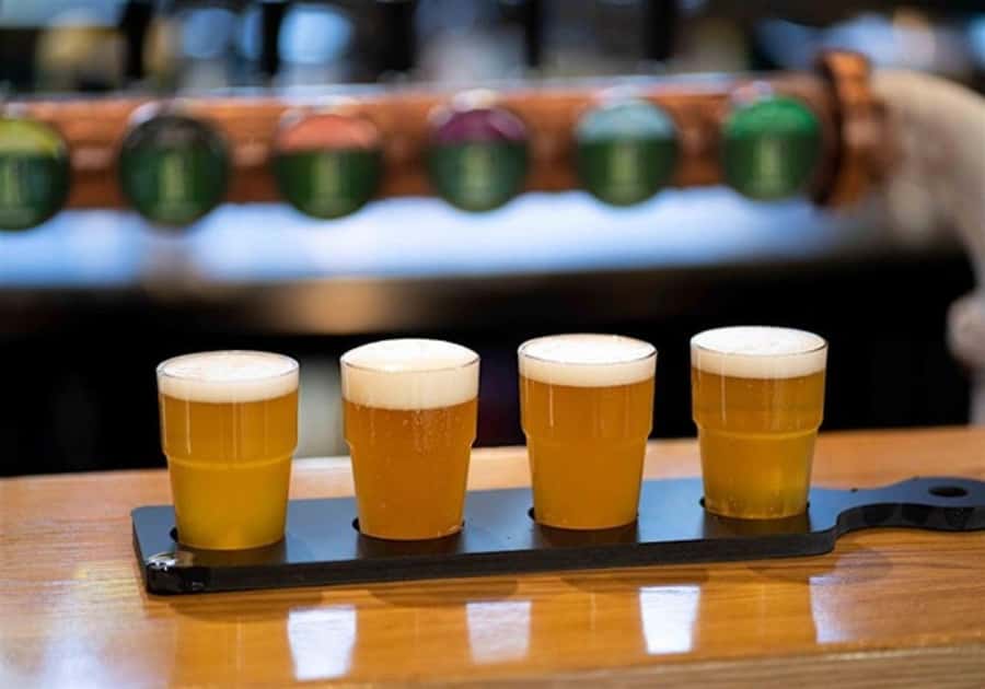 Hahndorf: Grunthal Gin, Beer, Wine, and Cheese Tasting - Key Points You’ll Care About Before You Go