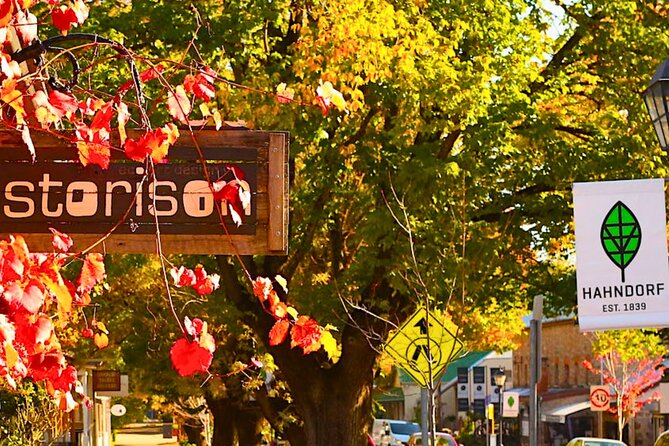 Hahndorf Hidden Gems: Full-Day Experience Join Us Tour - Beerenberg Farm: a 40-minute farm store break for gift shopping