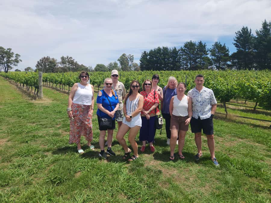 Half-Day Canberra Winery Tour - What’s on board during the tastings: snacks, cold drinks, Wi‑Fi