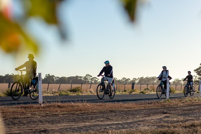 Half Day E-Bike Hire Echuca - Port of Echuca and Riverboat Dock: the historic center stop