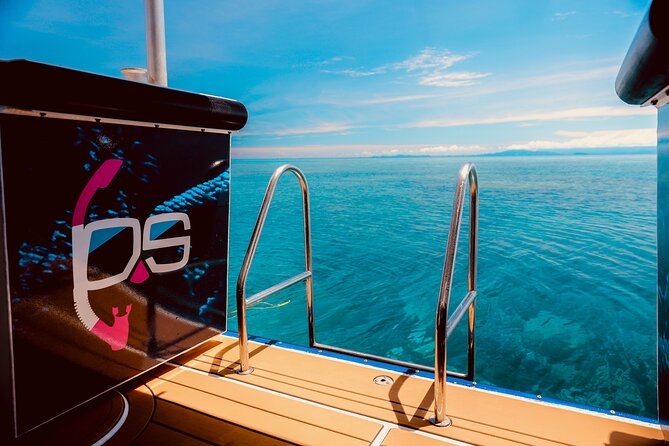 Half Day Great Barrier Reef Snorkeling Tour - Key Points That Matter Before You Book