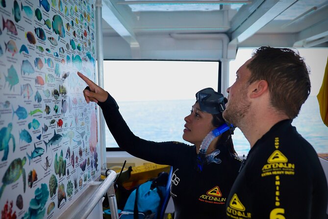 Half Day Great Barrier Reef Snorkeling Tour - Boat Comfort and the Small-Boat Feeling