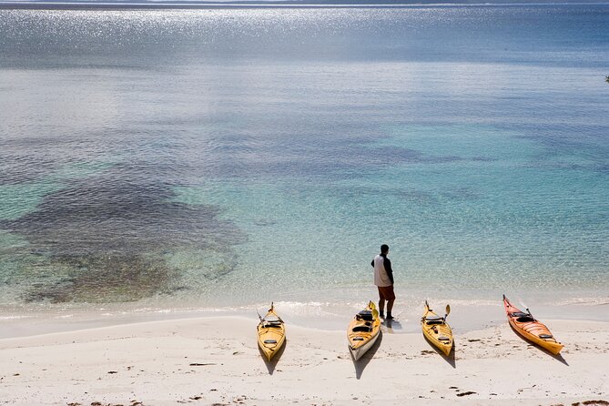 Half-Day Jervis Bay Sea Kayak Tour - The Secluded Beach Stop: Cake, Fruit, and Hot Drinks on the Sand