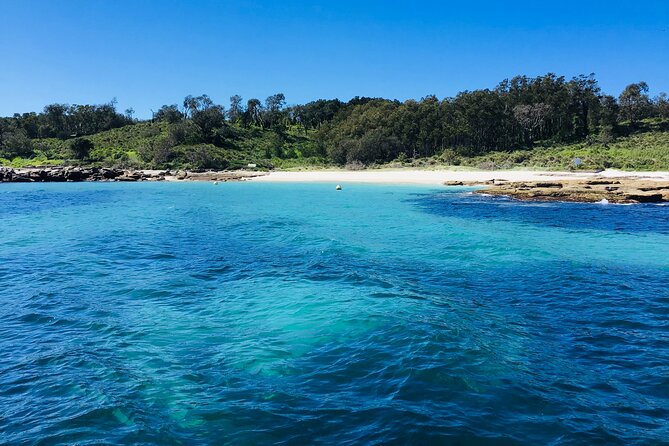 Half-Day Jervis Bay Sea Kayak Tour - Should You Book This Half-Day Jervis Bay Sea Kayak Tour?