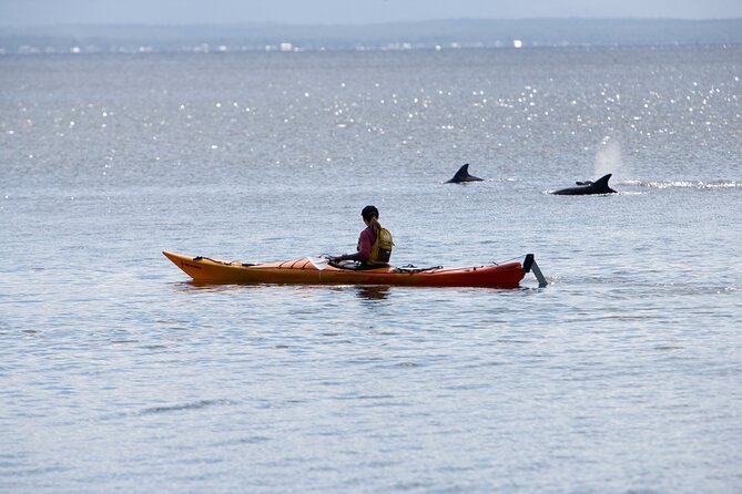Half-Day Jervis Bay Sea Kayak Tour - Booderee National Park Waters: Turquoise Scenery and Real Sea-Life Encounters