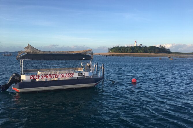 Half Day Low Island and Lagoon Snorkeling from Port Douglas - Fast Speed, Reef Access from Port Douglas