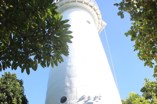 Half Day Low Island and Lagoon Snorkeling from Port Douglas - Price and Value: Is $179.31 Worth It?