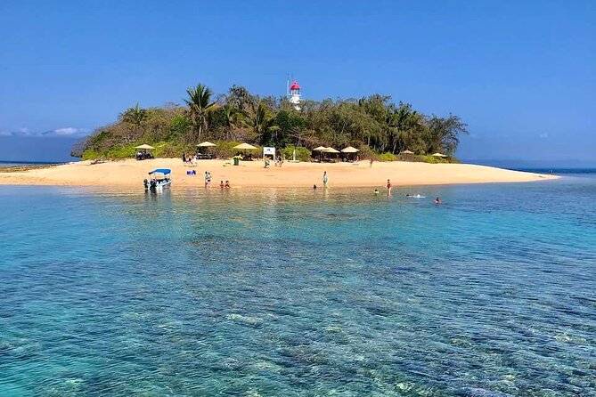 Half Day Low Island and Lagoon Snorkeling from Port Douglas - The Two-Boat Flow: Speedboat Out, Glass-Bottom to Low Island