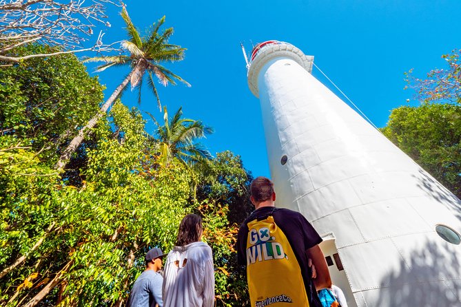 Half Day Low Isles Snorkelling Tour from Port Douglas - Key highlights worth clocking before you go
