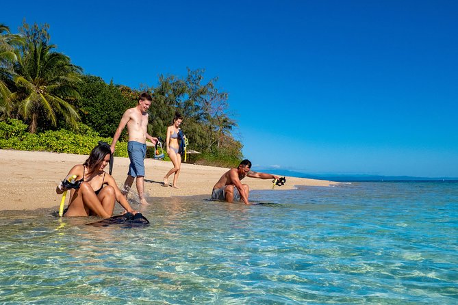 Half Day Low Isles Snorkelling Tour from Port Douglas - Low Isles from Port Douglas: why this half-day format feels smart