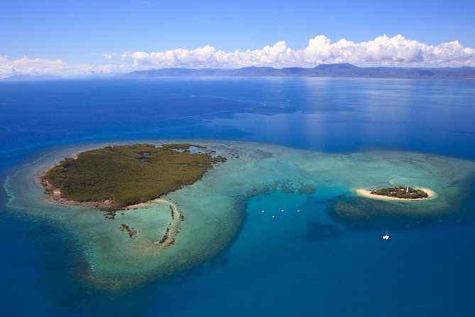 Half Day Low Isles Snorkelling Tour from Port Douglas - Crew impact: getting from nervous to comfortable