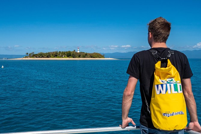 Half Day Low Isles Snorkelling Tour from Port Douglas - Snorkeling in the Low Isles lagoon: guided help vs. free time
