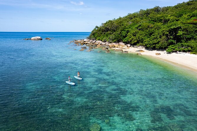 Half Day Morning Adventure - Fitzroy Island Return Ferry Included - Key highlights to look for