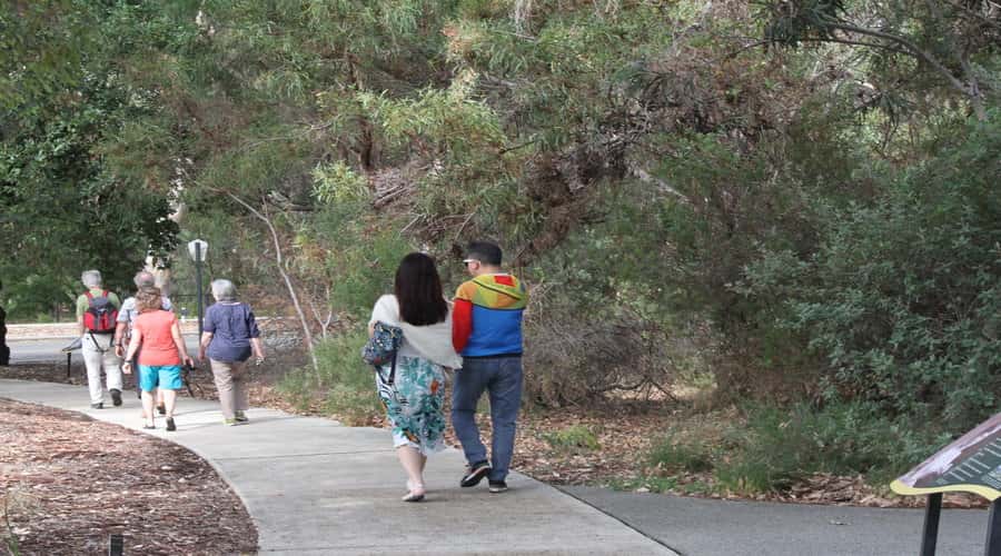Half-Day Morning Perth & Fremantle City Explorer - Pickup, Duration, and Where the Tour Ends (So You Can Plan)